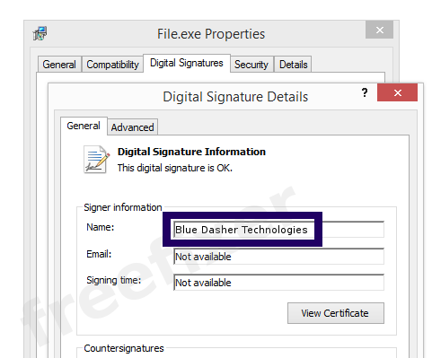 Screenshot of the Blue Dasher Technologies certificate